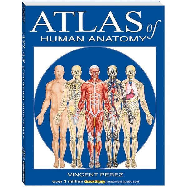 Human Anatomy for Artists: Szunyoghy, Andras, Feher, Gyorgy
